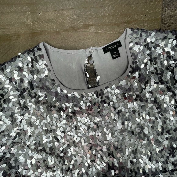 Ann Taylor Shimmery Top size XS - Picture 4 of 10